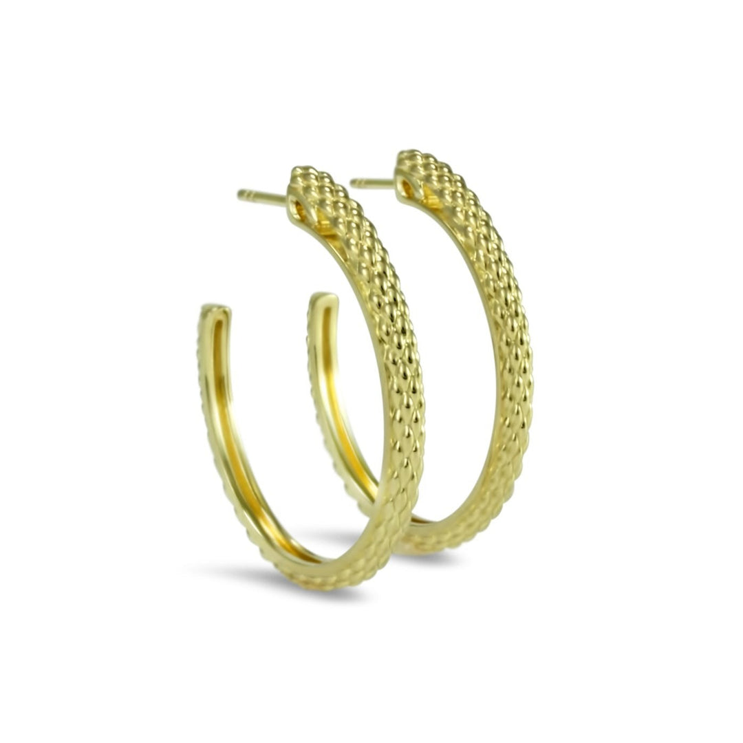 gold vermeil hoop earrings