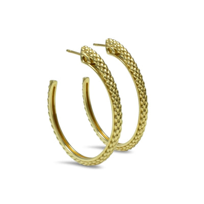 gold hoop earrings