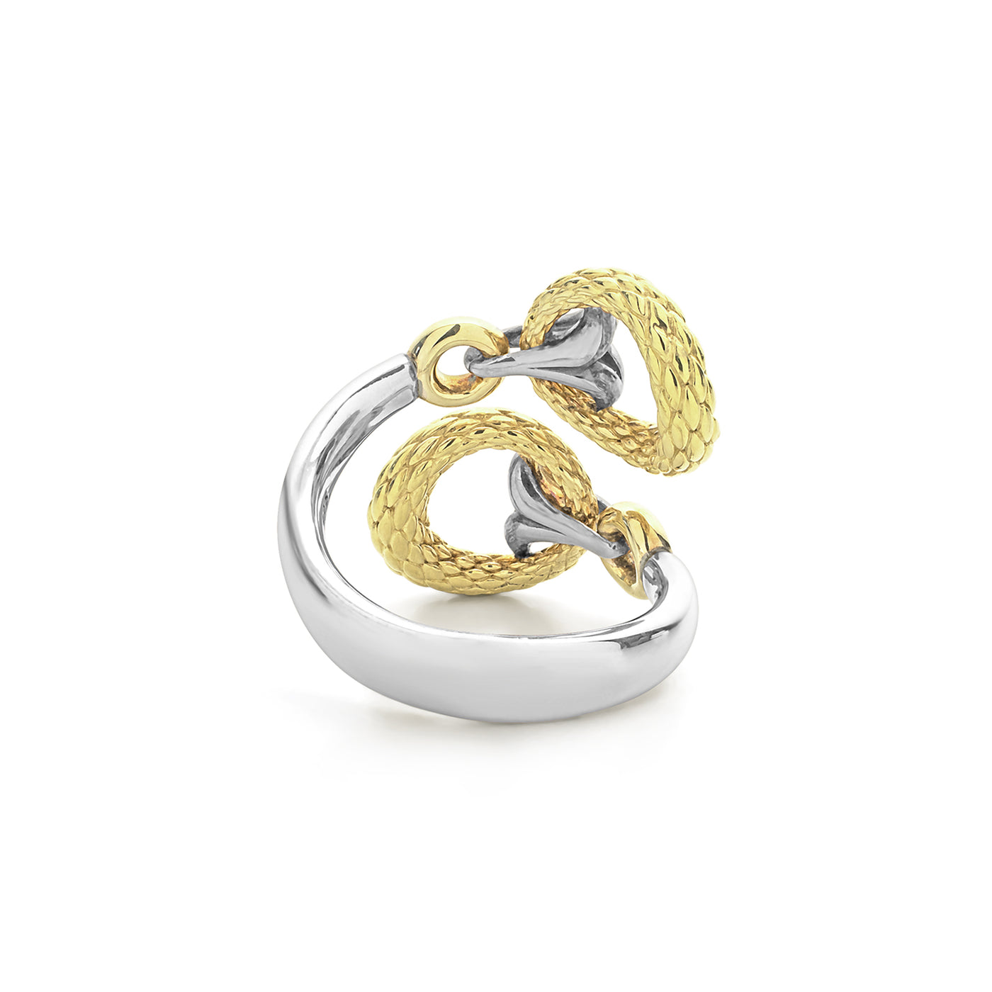 gold and silver ring