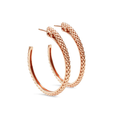 rose gold hoop earrings